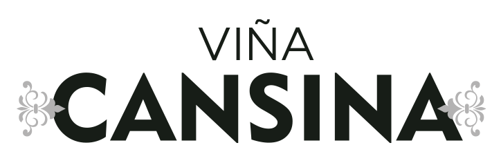 logo viña casina